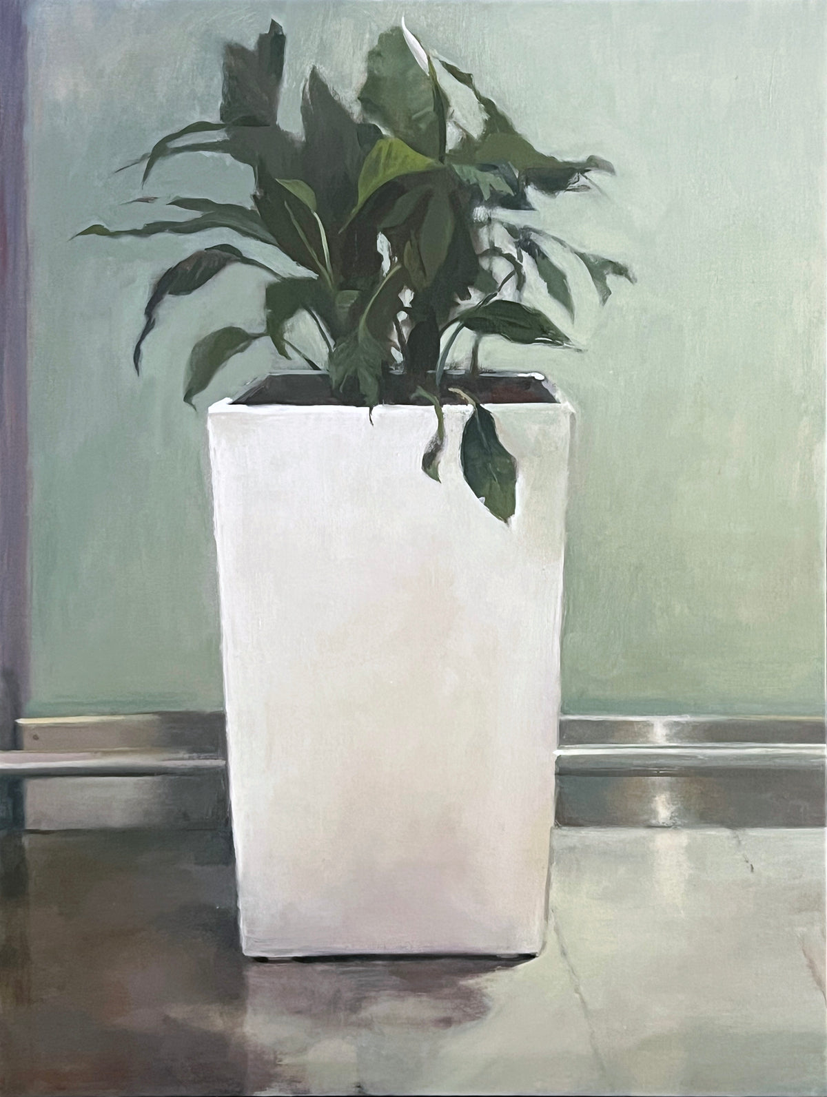 Peace Lily