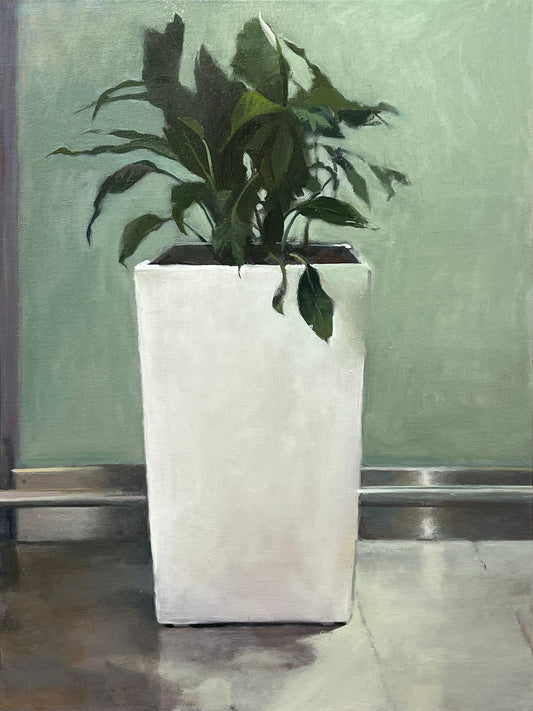 Peace Lily