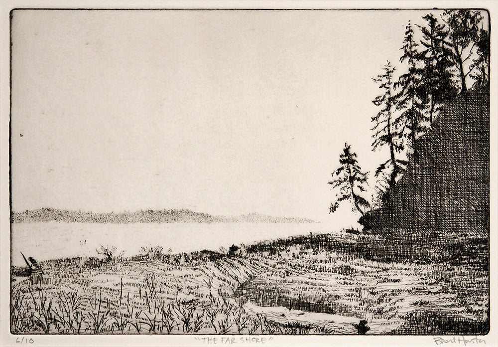 THE FAR SHORE