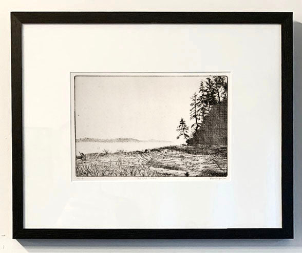 THE FAR SHORE